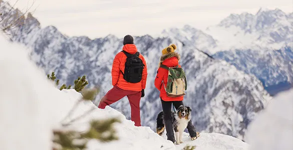 new-years-winter-trips-where-to-go-and-how-to-book-mid-content-1